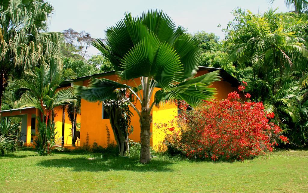 El Ranchito Surfcamp Hotel Pedregal Kültér fotó