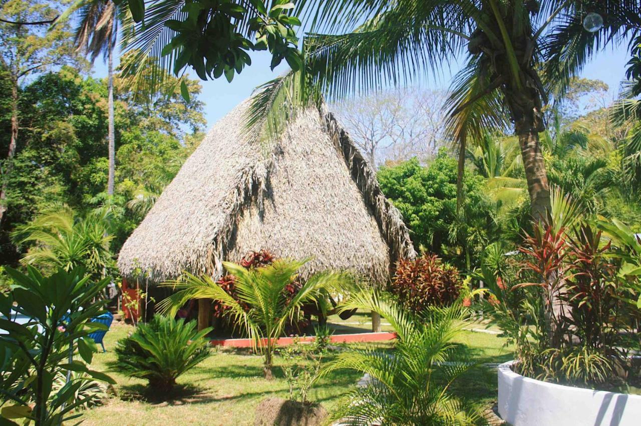 El Ranchito Surfcamp Hotel Pedregal Kültér fotó
